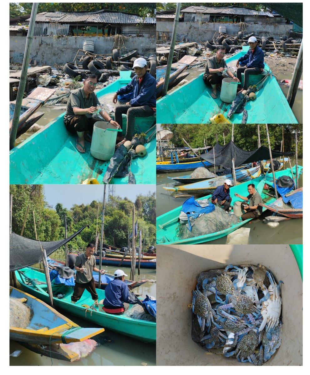 mjupri99's tweet photo. Jumat(25/08),M.jupri Surabaya, KUB Bintang Samudra jaya Morokrembangan Kec.Krembangan, Hasil Tangkap Rajungan 2,8 kg.Size 8-12/Kg.harga  60.000.
#GiatLuhkanSatminkalBanyuwangi.
#Tangkap
#Surabaya https://t.co/QZ24Z1Vumc