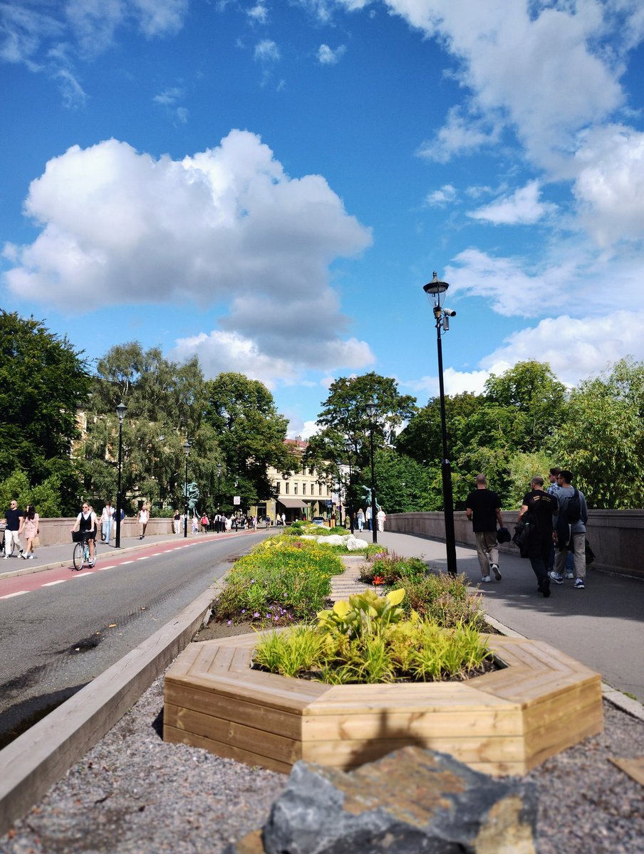 heimaren's tweet photo. @AnneLiseJuul2 @Knuthov @tkberger @sirinstav Her på Eventyrbrua for eksempel (Ankerbrua er vel korrekt navn). Vi dyrker også grønnsaker i Sofienbergparken og jeg tør nå, som forsiktig person, å sykle i byen (og hele året). https://t.co/U0yUNXXE4a