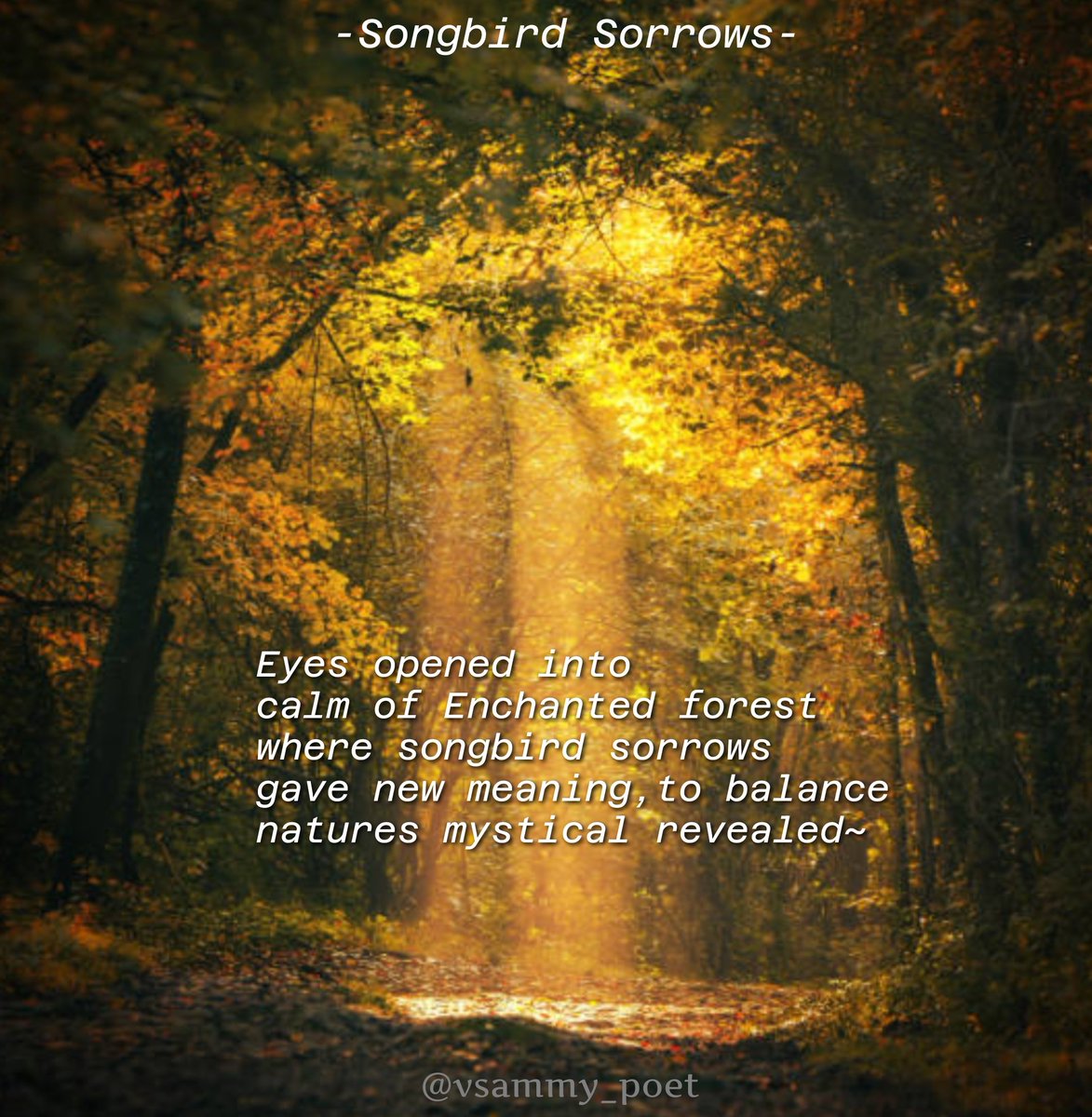 vsammy_poet's tweet photo. #tankapoetry for #prompt
"Songbird sorrows"
#twitterpoems
#poetrylovers
#poetrycommunity
#WritingCommunity
#writersoftheworld
#wordsmiths
#alongthelines
#northernpoet
#visualpoetry
#bleedingink
#tanka
#poemas
#poesia
#stories
#poetic
#storytelling https://t.co/qdUYfVPC20