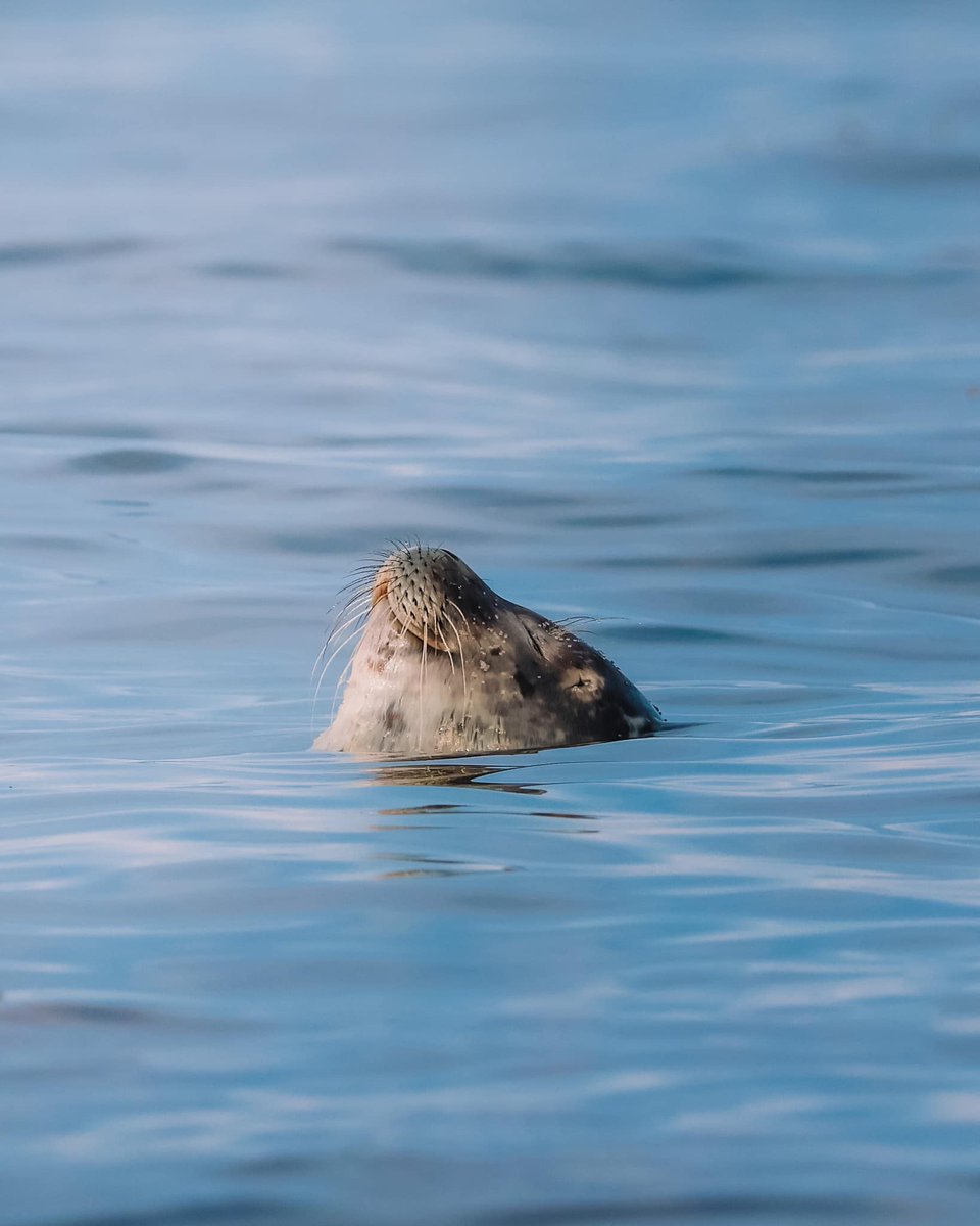 PowerpointPpt's tweet image. inner peace 🙂

Enjoy