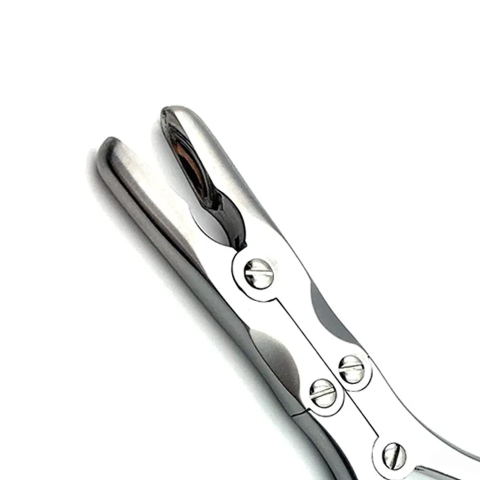 KtsurgicoUs's tweet image. Double Action Bone Rongeurs 

*Precision-engineered
*Double-action design
*Ergonomic handles
*Customizable

𝐅𝐨𝐫 𝐌𝐨𝐫𝐞 𝐃𝐞𝐭𝐚𝐢𝐥𝐬 𝐒𝐞𝐧𝐝 𝐔𝐬 𝐚 𝐌𝐞𝐬𝐬𝐚𝐠𝐞

.
.
.

#orthopedicinstruments #oemservices #customizedlogo #boneRongeurs #surgicaltools #doubleaction #kts