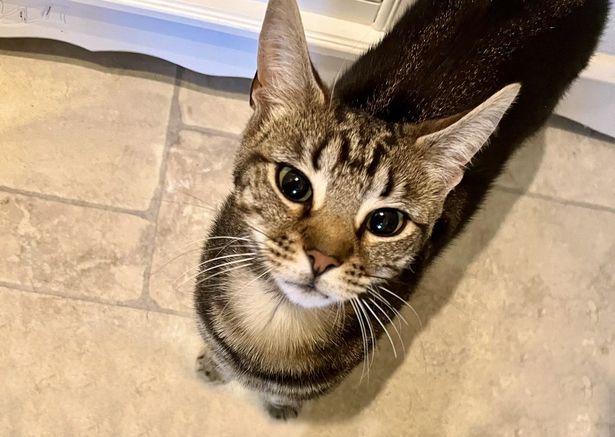 Malcolm & Baby Dog tweet media