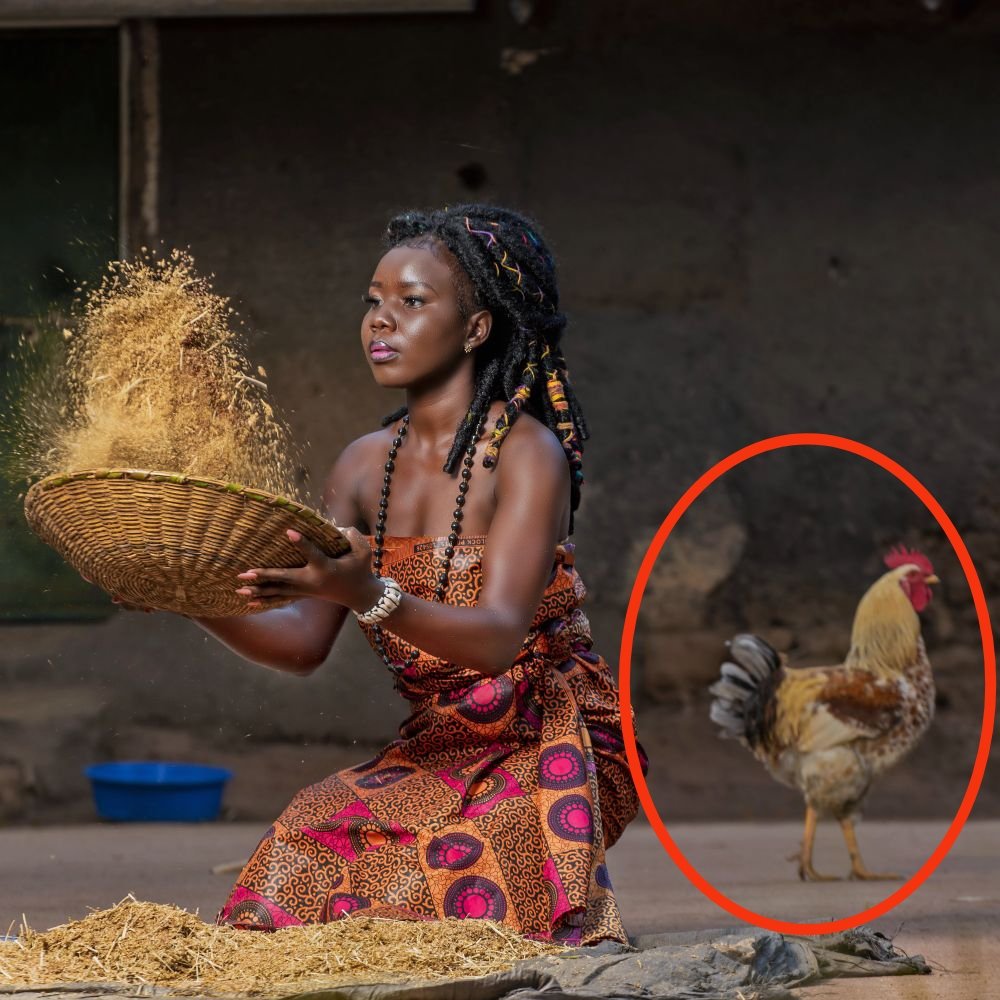 @AberMarrion @AMbabani @Asiimwe_Nelson_ @andy_kanshe @chatyalba @LokiiWilly @seanonenongaya @jamesrwotoribaa @palaringsteve @RogersOlenga @MontezPrudie I see a cock not chicken. So, did you mean chicken or cock soup.