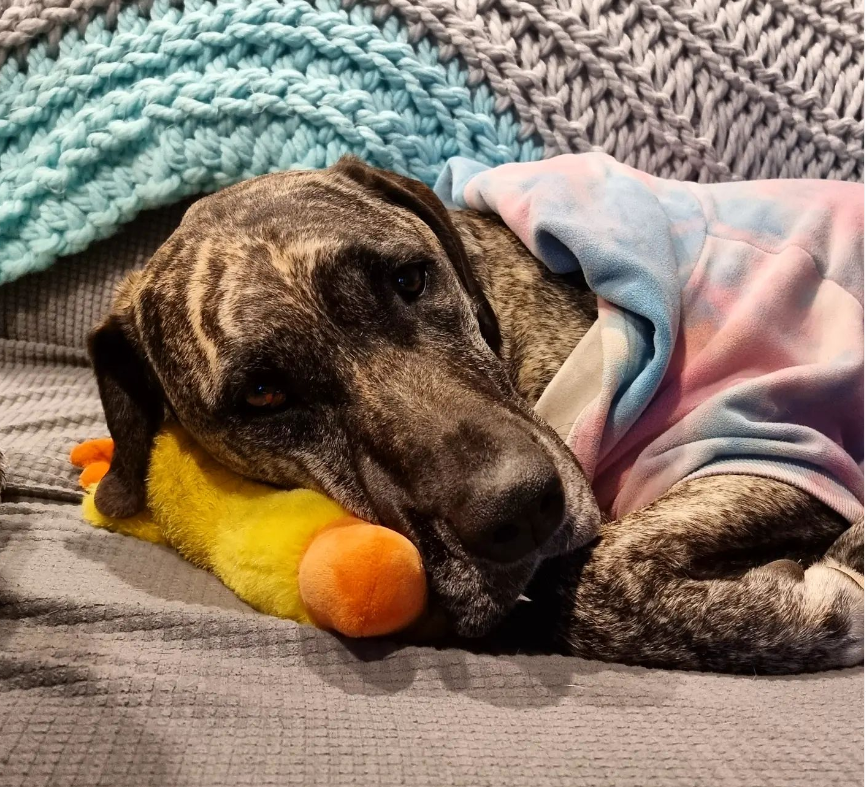 Matt Wade tweet media