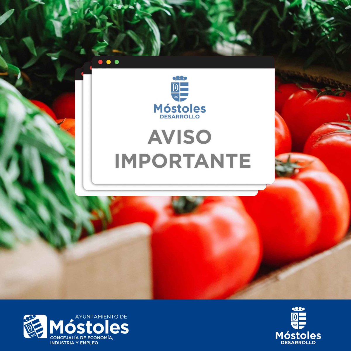 AytoMostoles tweet picture