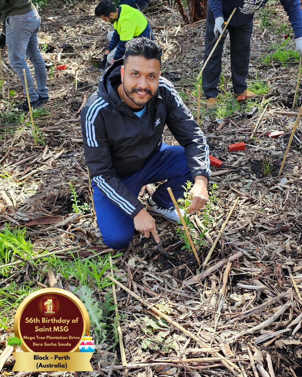 DSSNewsUpdates's tweet image. Dera Sacha Sauda volunteers from Perth, Australia marked Saint Dr. Gurmeet Ram Rahim Singh Ji Insan's 56th birthday by planting saplings🌱. A celebration rooted in care for our planet! 🌍 #56thBirthday #SaintDrMSG #DeraSachaSauda #TreePlantation