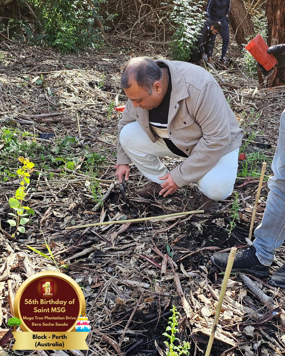 DSSNewsUpdates's tweet image. Dera Sacha Sauda volunteers from Perth, Australia marked Saint Dr. Gurmeet Ram Rahim Singh Ji Insan's 56th birthday by planting saplings🌱. A celebration rooted in care for our planet! 🌍 #56thBirthday #SaintDrMSG #DeraSachaSauda #TreePlantation