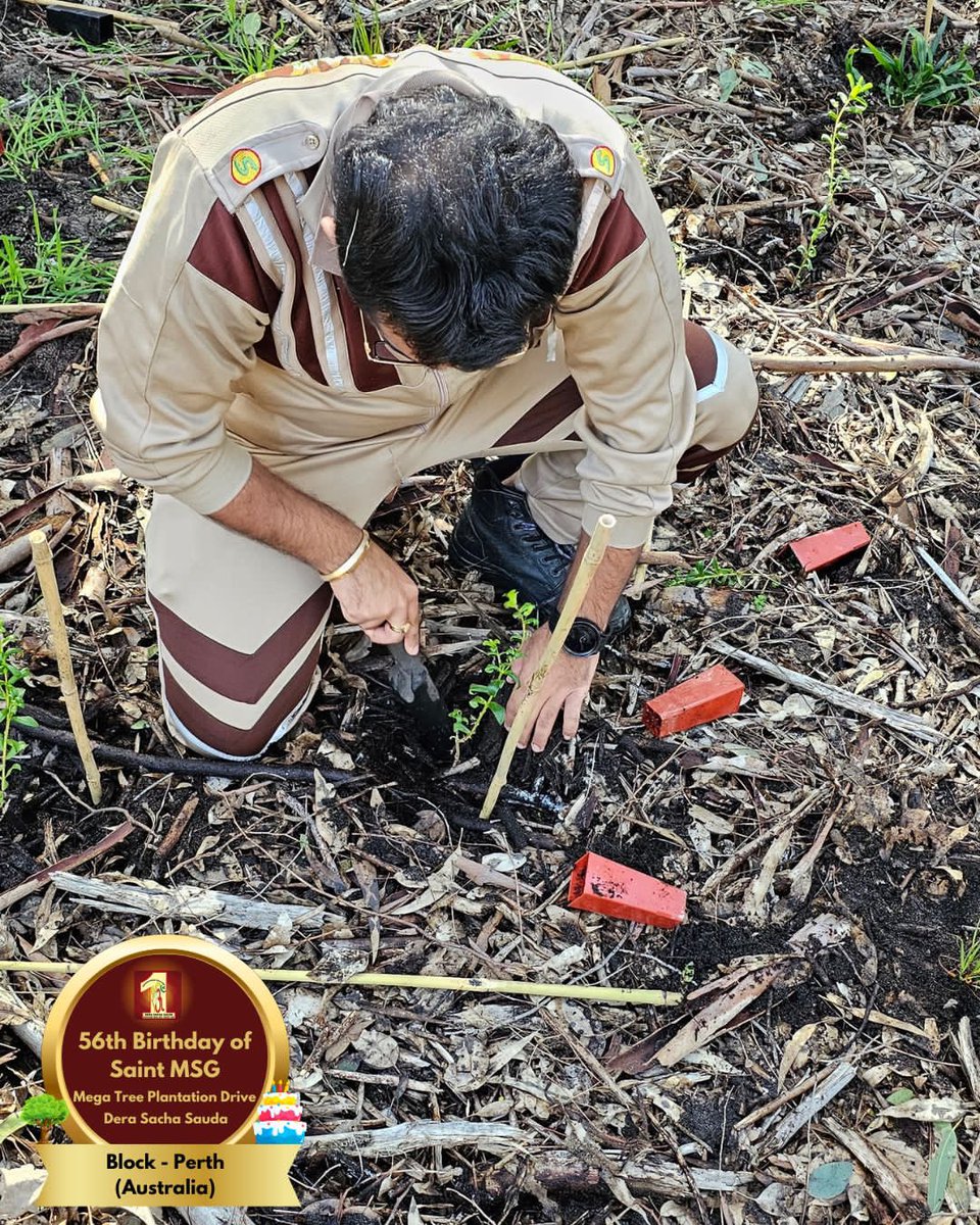 DSSNewsUpdates's tweet image. Dera Sacha Sauda volunteers from Perth, Australia marked Saint Dr. Gurmeet Ram Rahim Singh Ji Insan's 56th birthday by planting saplings🌱. A celebration rooted in care for our planet! 🌍 #56thBirthday #SaintDrMSG #DeraSachaSauda #TreePlantation