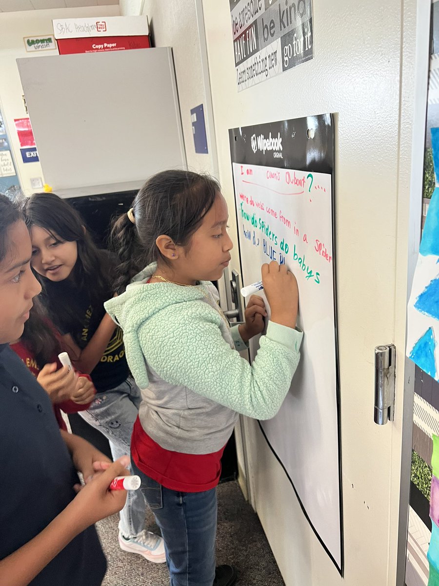 Michelle Kibic tweet media