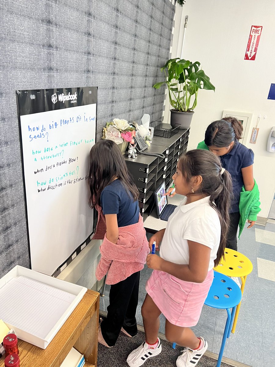 Michelle Kibic tweet media