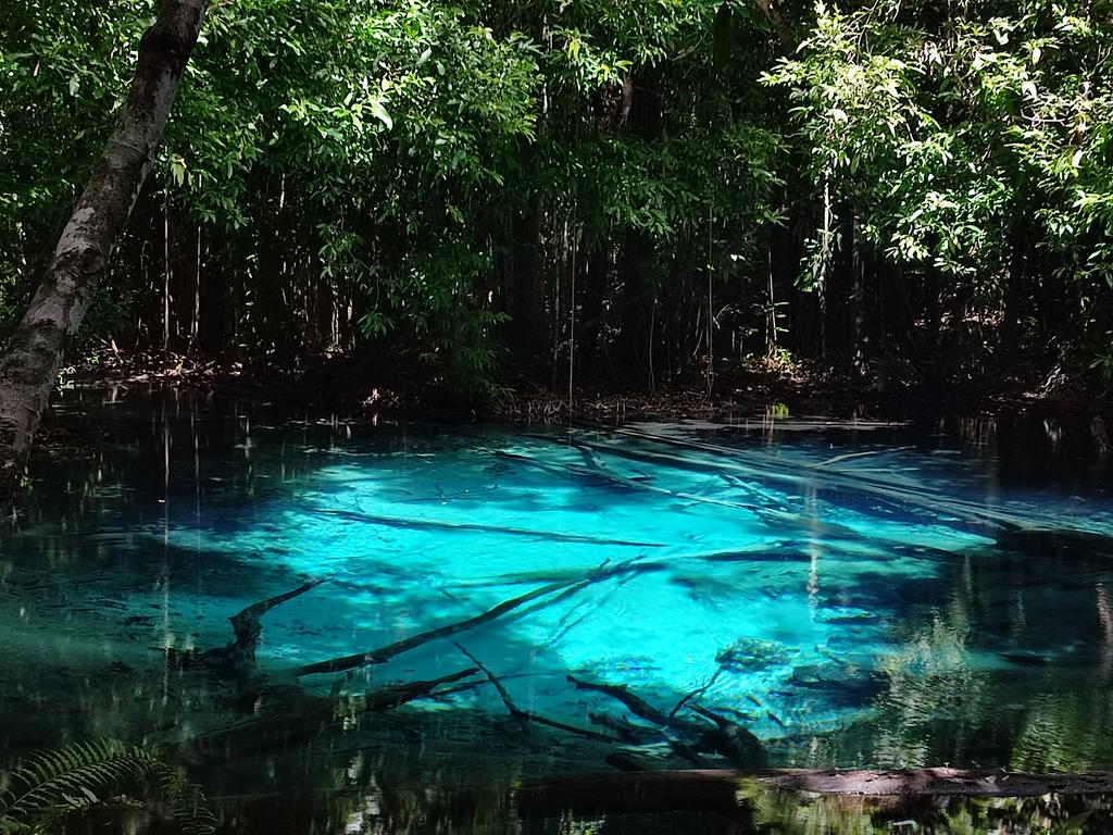 #Nature is magic ✨🩵 #Thailand