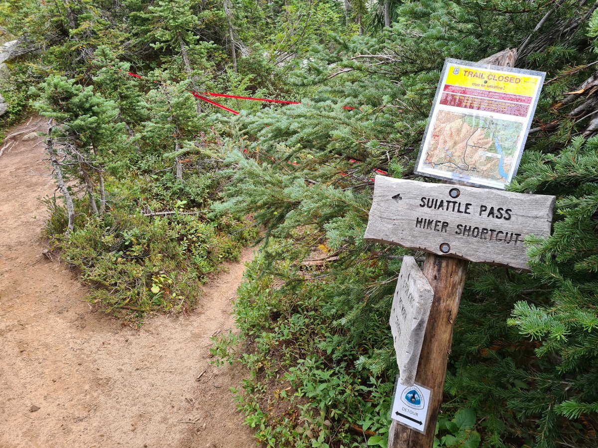 Frank Decorte tweet media