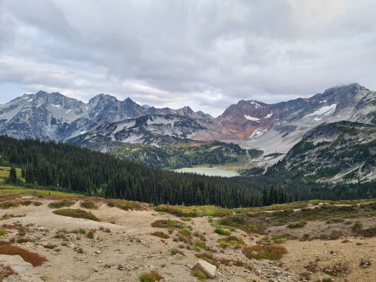 Frank Decorte tweet media