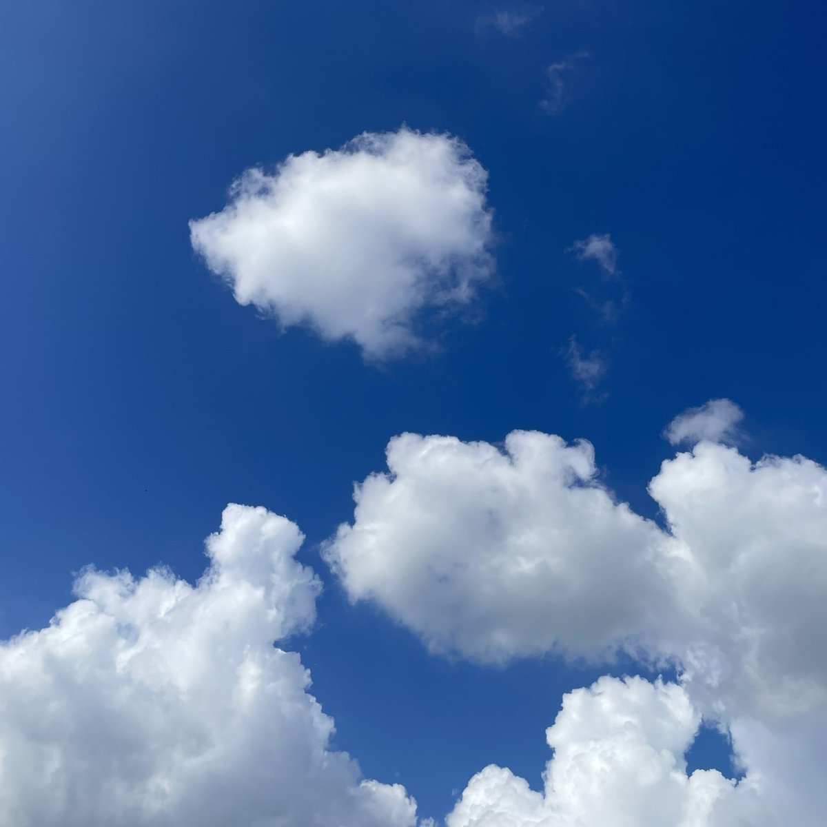 가을하늘?!!!

미세먼지 1도 없는 파랗고 높은 하늘에 몽글몽글 귀여운 구름 둥실... 너무나 예쁜 하늘~

#iweb3 #wormhole30G #pnut #steem #kr #krsuccess #actnearn #aaa