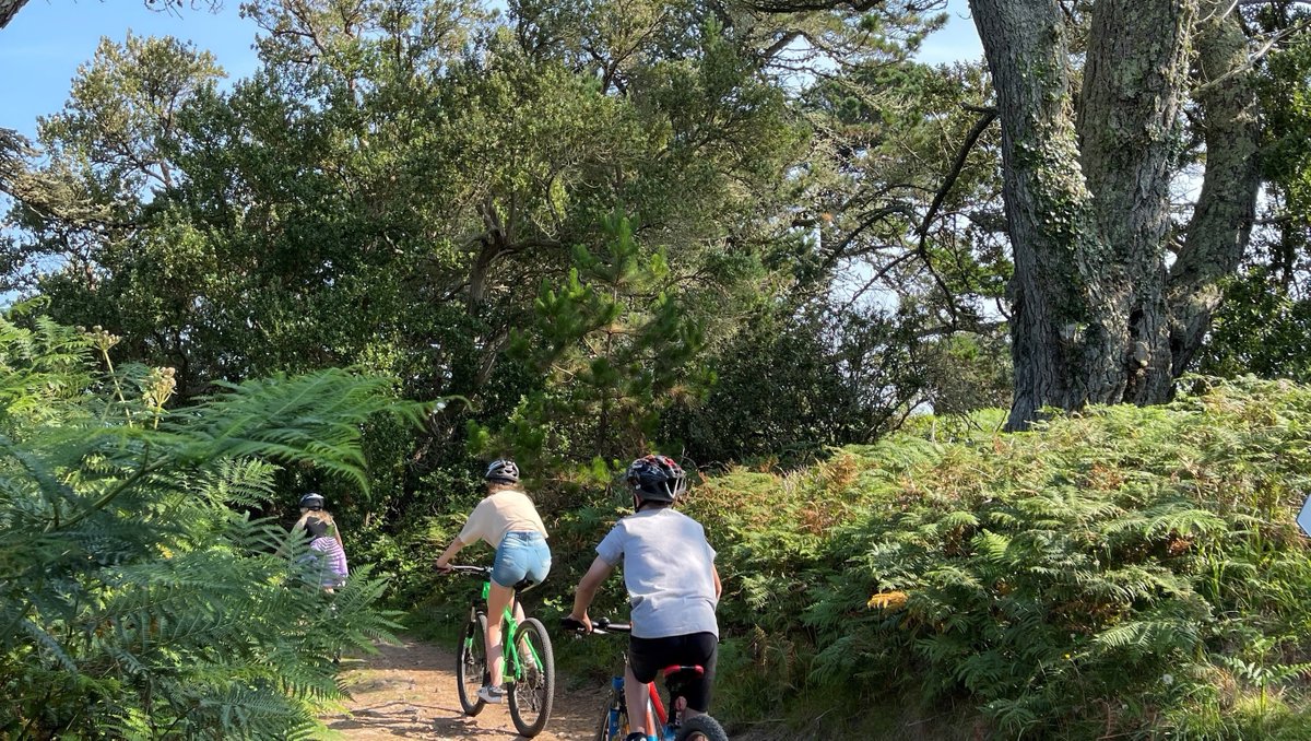 visitIOS's tweet photo. There is more to Scilly than just eye-watering views and rippling crystal-clear waters. Navigate your way around Scilly by bike and head out on an adventure of your own. https://t.co/QcapWsovjl #scilly #islesofscilly #myscilly #cycling #southwestcoastparth #cornwall #cycle #bike https://t.co/OC46VpfdW6