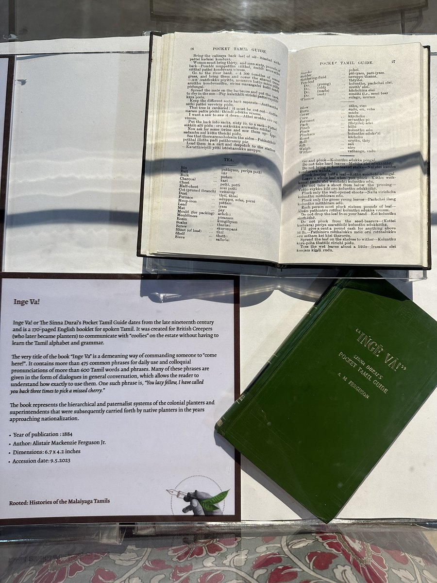 Iromi Perera tweet media