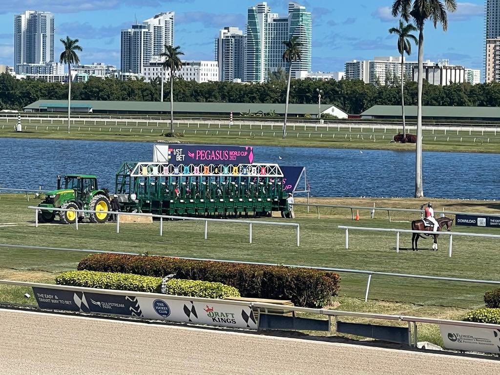 Hoy estaremos dándoles las marcas totalmente gratis para el hipódromo de Gulfstream Park y Del Mar Racetrack Solo debes enviar un Dm para recibir la información!! #Hipismo #gulfstream #DelMar