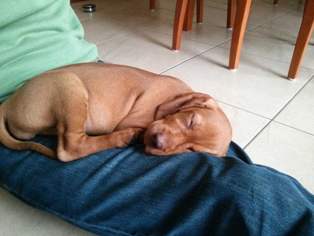 William Durkin (he/him) tweet media