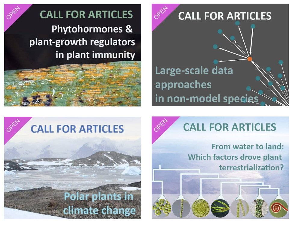 PPLplantarum's tweet photo. Physiologia Plantarum is excited to have expanded our scope, the number of Subject Editors &amp; Editors, our impact (6.4) and more. We are experiencing a great growth. 

Submit your papers to one of our subject areas or open Special Issues.
 Visit https://t.co/COt7VRWMw1 

#Plantsci https://t.co/w00i3y34WU