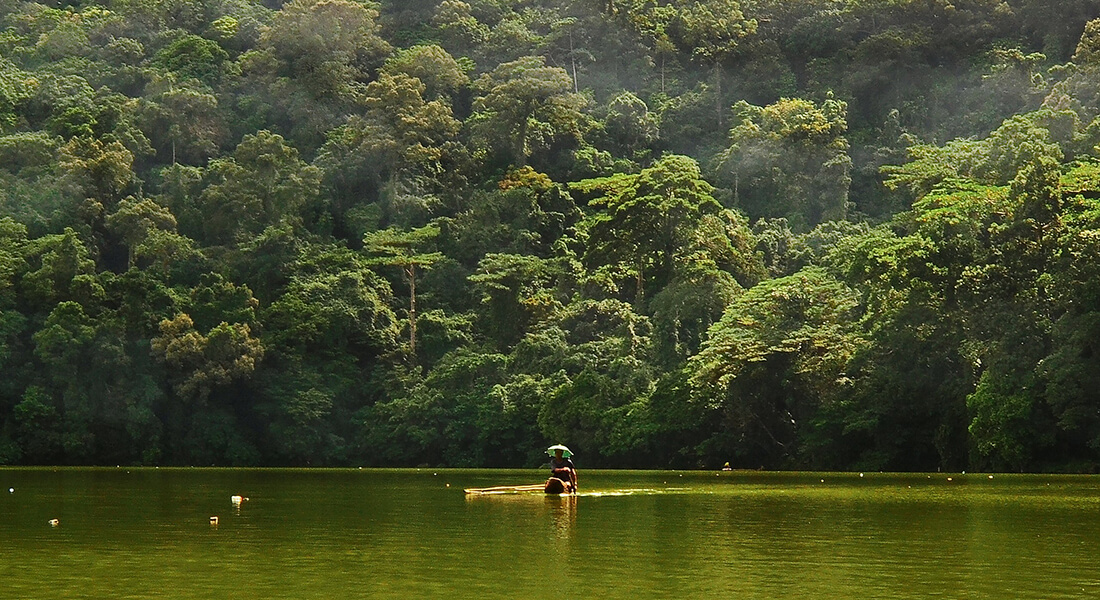 New Phytologist (@newphyt) on Twitter photo Severe impact of past changes in climate and nutrient availability on lowland tropical rainforest
Read the press release: ow.ly/4EO050PCZjq
Read the article: ow.ly/PR7050PCZjs
<a href="/Ana_Prohaska/">Ana Prohaska</a> <a href="/Globe_UCPH/">Globe Institute</a> <a href="/LFGeoGenetics/">Lundbeck Foundation GeoGenetics Centre</a> <a href="/OxLEL/">OxLEL</a> <a href="/GFZ_Potsdam/">GFZ</a> <a href="/alistairseddon/">Alistair Seddon</a> <a href="/AndiSmith10/">Andi Smith</a> Severe impact of past changes in climate and nutrient availability on lowland tropical rainforest
Read the press release: ow.ly/4EO050PCZjq
Read the article: ow.ly/PR7050PCZjs
<a href="/Ana_Prohaska/">Ana Prohaska</a> <a href="/Globe_UCPH/">Globe Institute</a> <a href="/LFGeoGenetics/">Lundbeck Foundation GeoGenetics Centre</a> <a href="/OxLEL/">OxLEL</a> <a href="/GFZ_Potsdam/">GFZ</a> <a href="/alistairseddon/">Alistair Seddon</a> <a href="/AndiSmith10/">Andi Smith</a>