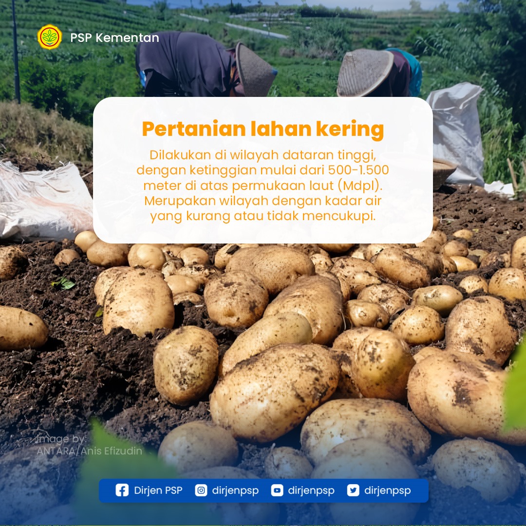 dirjenpsp's tweet photo. Indonesia dianugerahi kekayaan yang melimpah dengan hasil komoditas unggulan di setiap daerahnya, baik di dataran tinggi maupun dataran rendah.
#kementan #kementerianpertanian #kementerianpertanianri #programkementan #ditjenpsp #pertanianIndonesia #pertanianjelas #pertanian https://t.co/6bGCvFCoHi