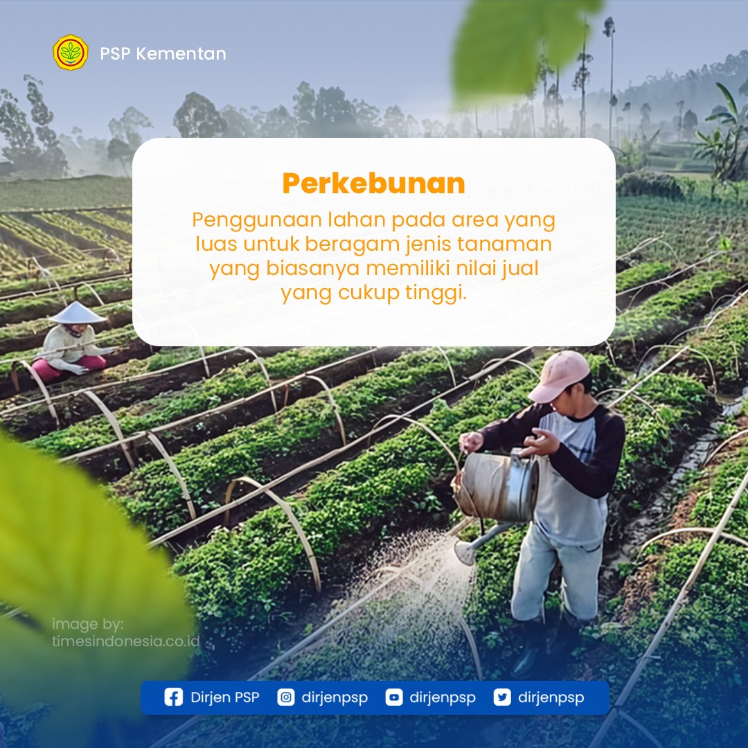 dirjenpsp's tweet photo. Indonesia dianugerahi kekayaan yang melimpah dengan hasil komoditas unggulan di setiap daerahnya, baik di dataran tinggi maupun dataran rendah.
#kementan #kementerianpertanian #kementerianpertanianri #programkementan #ditjenpsp #pertanianIndonesia #pertanianjelas #pertanian https://t.co/6bGCvFCoHi