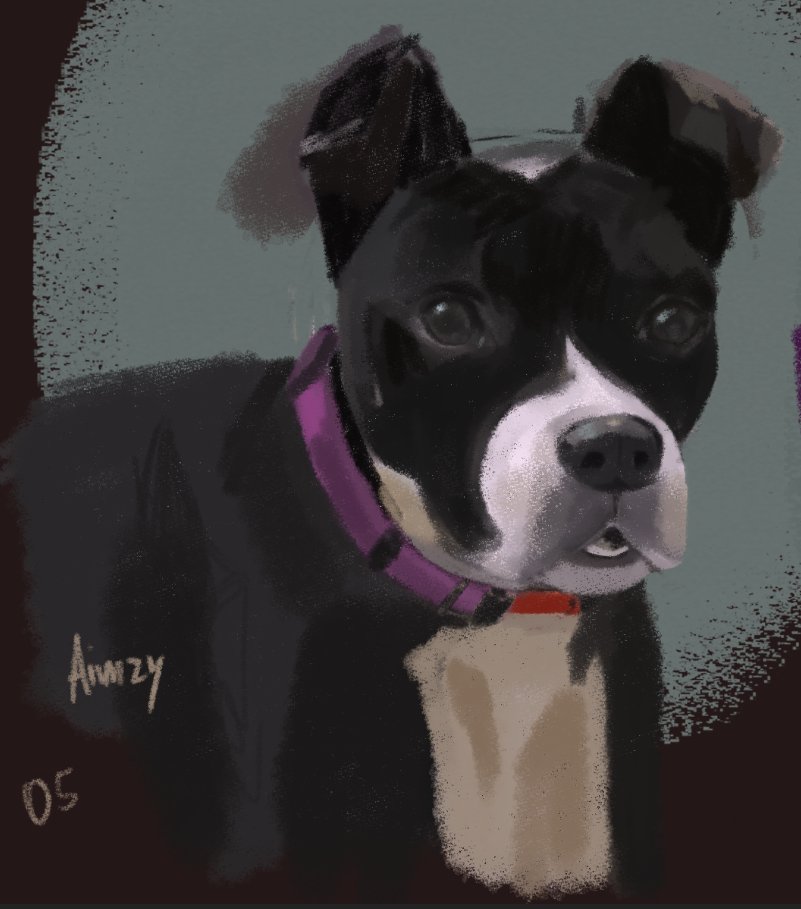 AimzyArts's tweet photo. Dis is the doggie I drew for our warmup chellenge:pets
 Her name is Saddie.
Shawty♡'s dog https://t.co/cwdFdVnd4f