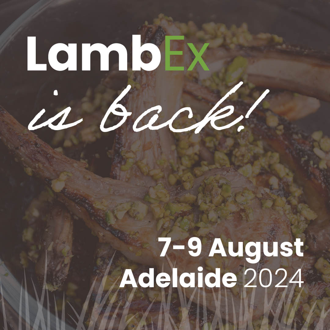 LambEx tweet media