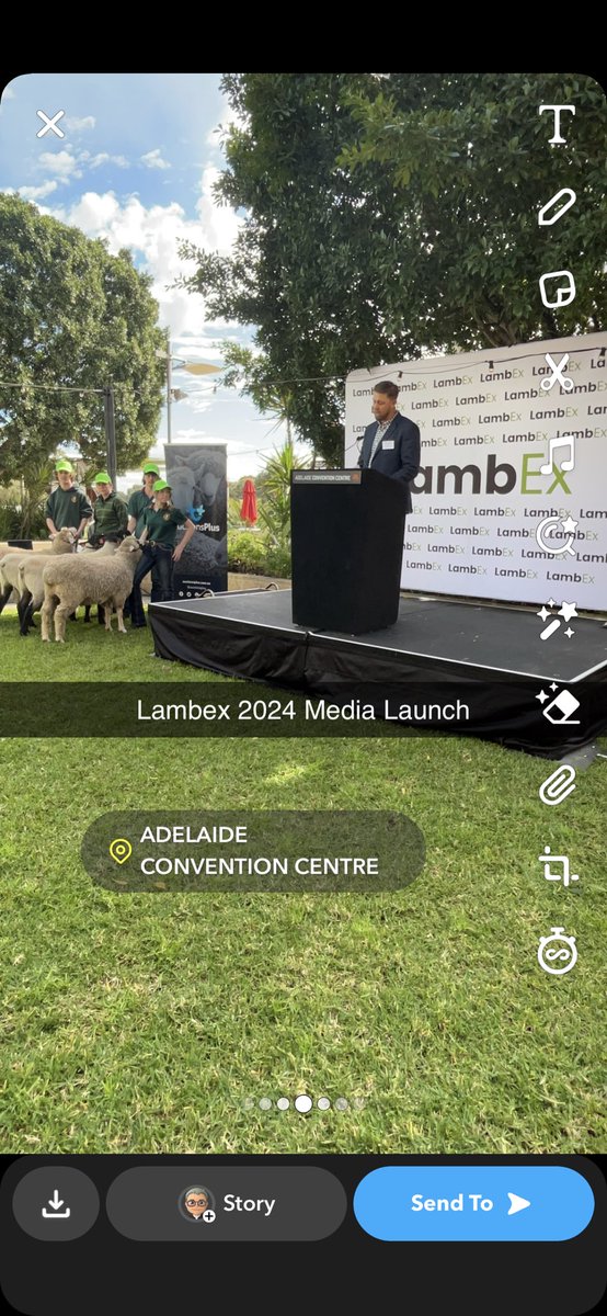 Gordon Wood tweet media