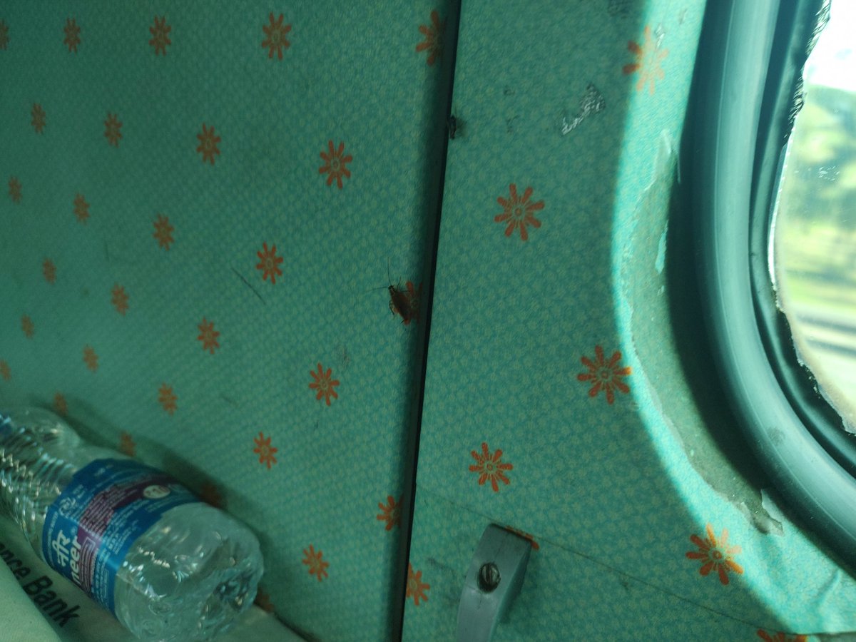 Vinay Kamath (@kamathcometh) on Twitter photo Travelling by shatabdi now to Bglore 25.8.23. C3 43 by the table...lots of cockroaches coming out of panels...part of the travelling experience? <a href="/southernrailway/">southern railway</a> <a href="/DrmChennai/">DRM Chennai</a> <a href="/RailwaySeva/">RailwaySeva</a> Travelling by shatabdi now to Bglore 25.8.23. C3 43 by the table...lots of cockroaches coming out of panels...part of the travelling experience? <a href="/southernrailway/">southern railway</a> <a href="/DrmChennai/">DRM Chennai</a> <a href="/RailwaySeva/">RailwaySeva</a>
