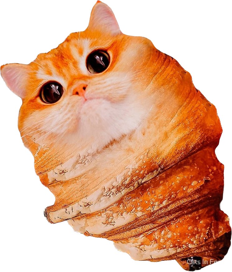 Don’t give me a croissant unless it looks like this thx