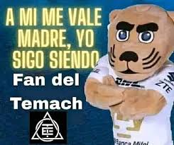 _Macias__'s tweet photo. @JirenNovack @JOAMlvs https://t.co/hSE8t1rNeR