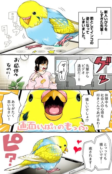 お説教する先輩( #インコ )、可愛い。
--
「再・いじわる先輩、インコになった!? by初丸うげべそ @ugebes0 」 #ヤメコミ #4コマ漫画
https://t.co/emjHGnEeeN 