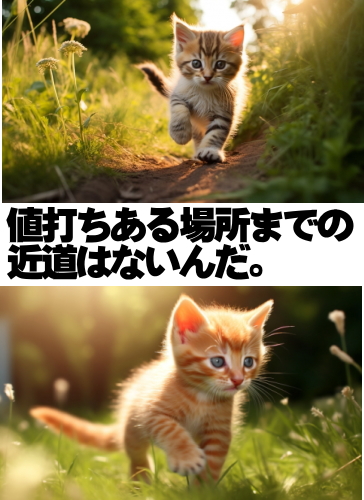 値打ちある場所までの
近道はないんだ。
junglegymshow.com