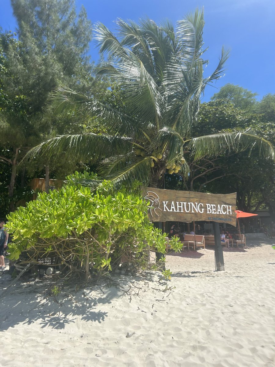 mariambughaith's tweet photo. 🌴🥥🐬 https://t.co/aULToQzlNK
