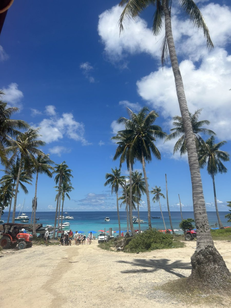 mariambughaith's tweet photo. 🌴🥥🐬 https://t.co/aULToQzlNK