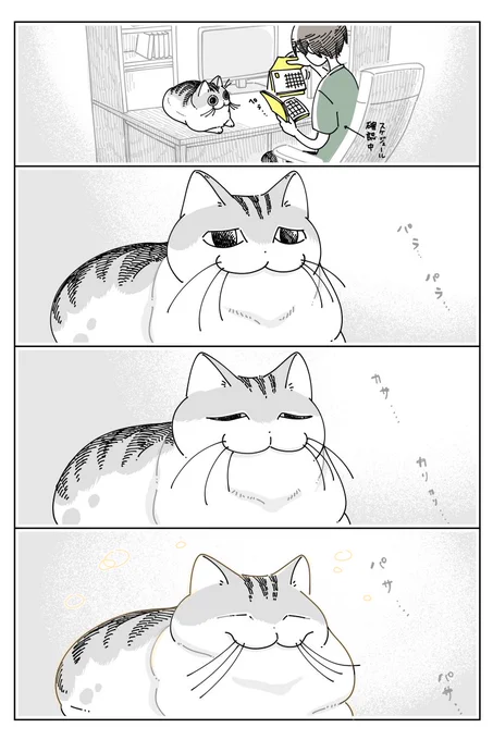 確かめたいネコ 