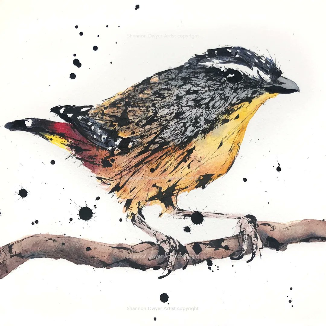 frame_abel's tweet photo. MEET SHANNON: Shannon Dwyer is an Australian artist whose playful style creates a wonderful sense of movement and character. Using watercolours and intricate ink strokes, her work is inspired by Australia's phenomenal wildlife

#frameabel https://t.co/phBmQoiNvs