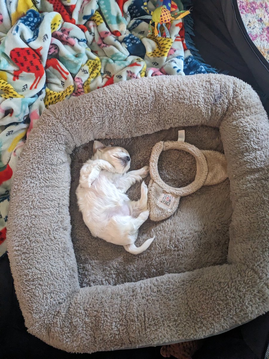 Milfy 🌻☮️ tweet media