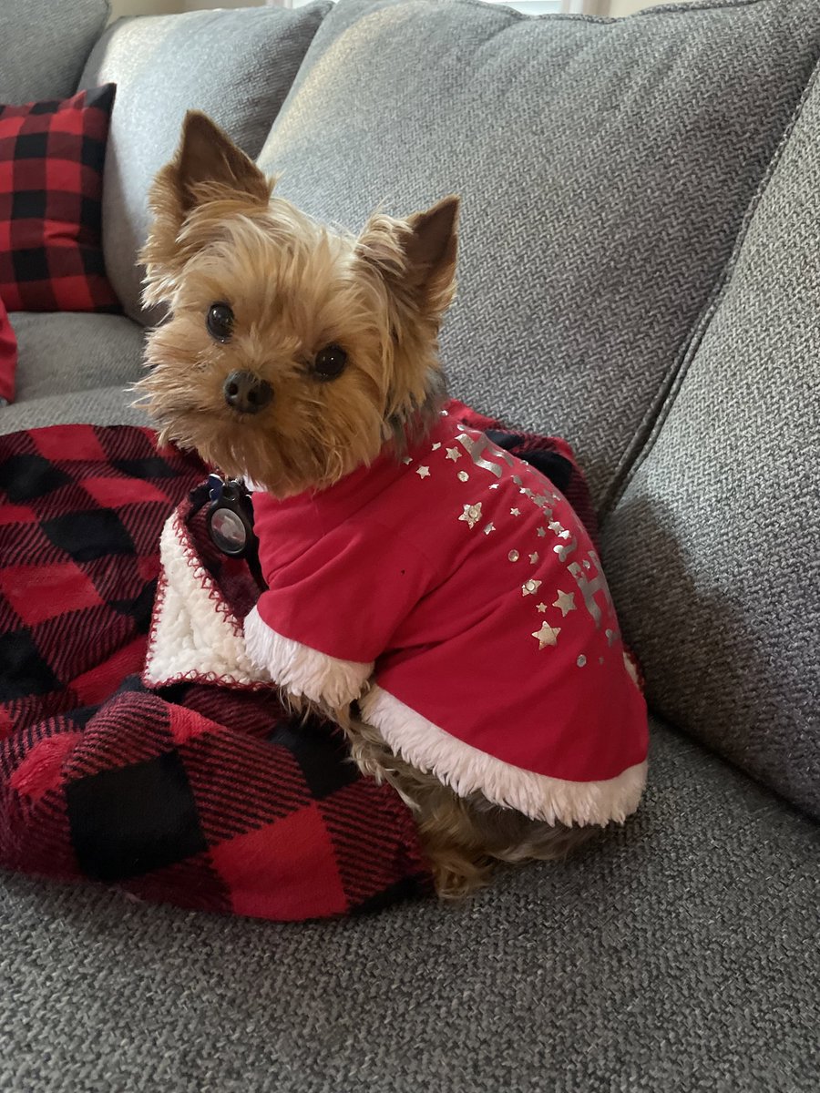 JackTheCEO tweet media