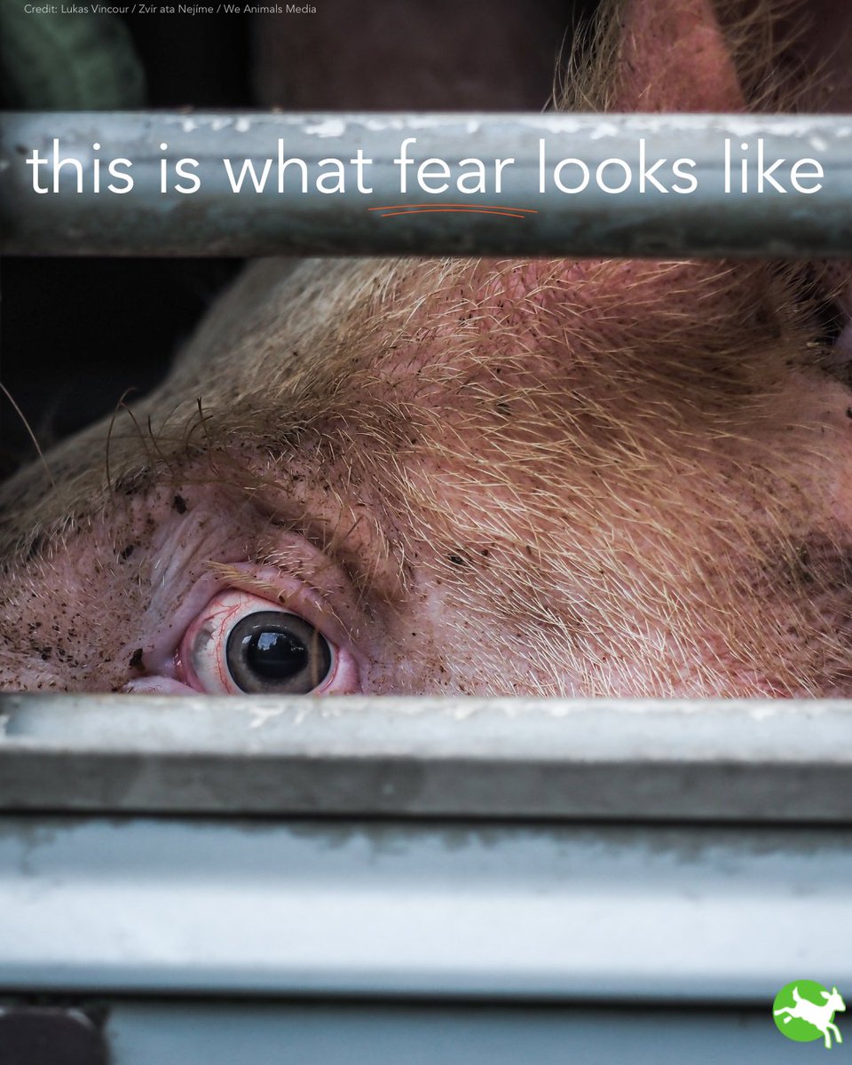 ciwfusa's tweet photo. Don’t look away. https://t.co/J72T3gRo68