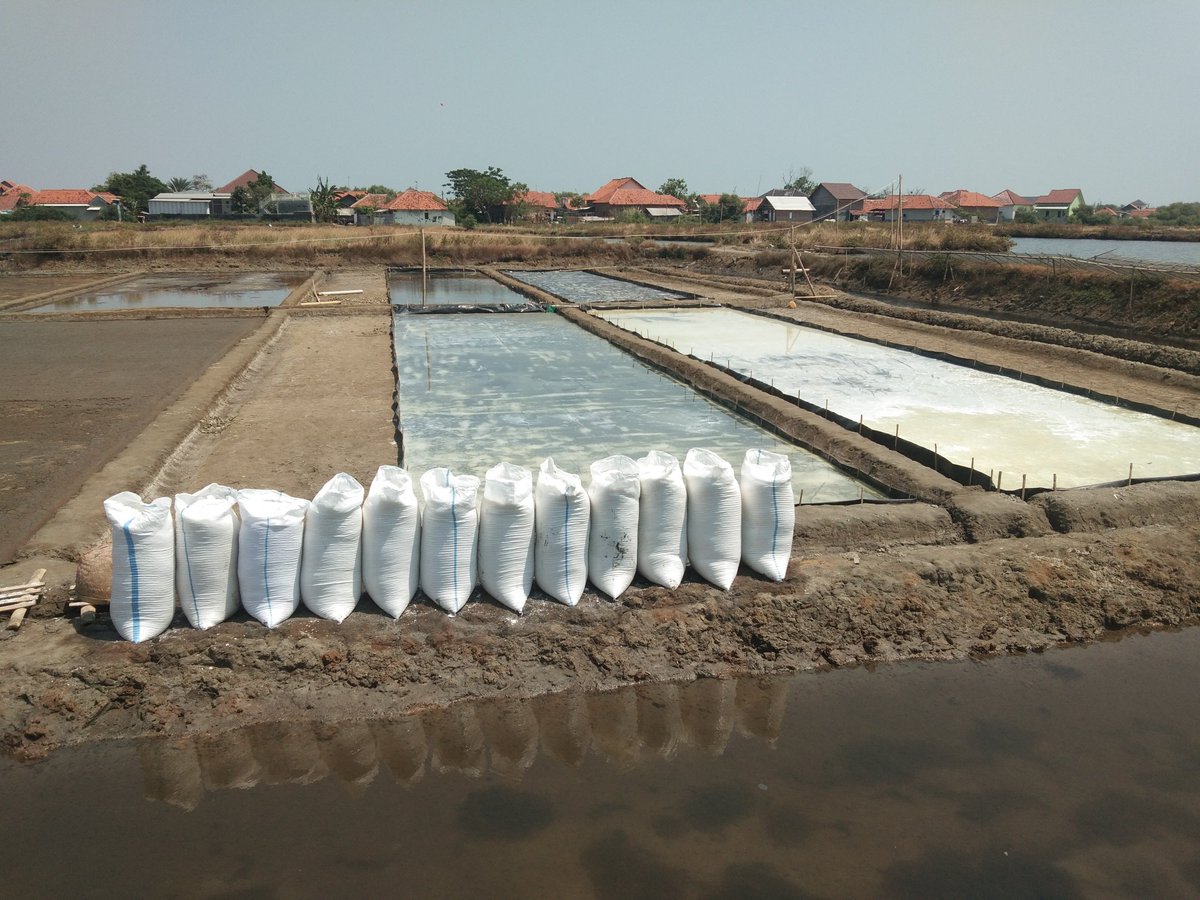 abduljamil0380's tweet photo. Kamis, (24/08/23), Abdul Jamil, S.Pi, MM, Luhkan Brebes, Melaporkan Panen Garam 4 Orang dengan sistem Memban, 18000 Kg. Dengan harga 800/Kg Ds.Prapag Kidul Kec Losari
#GiatLuhkanSatminkalTegal #Brebes #Produksi 
@PKBLU_bp3tegal @brsdm_kp @puslatluhkp https://t.co/cwpgyXD5Ss