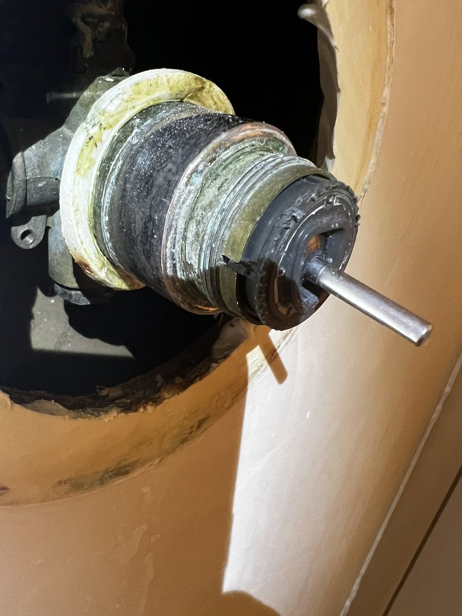 thatryan tweet media