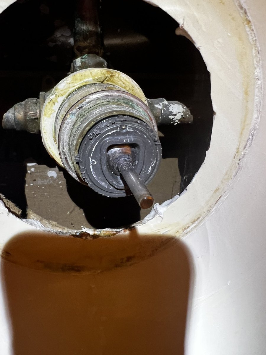 thatryan tweet media