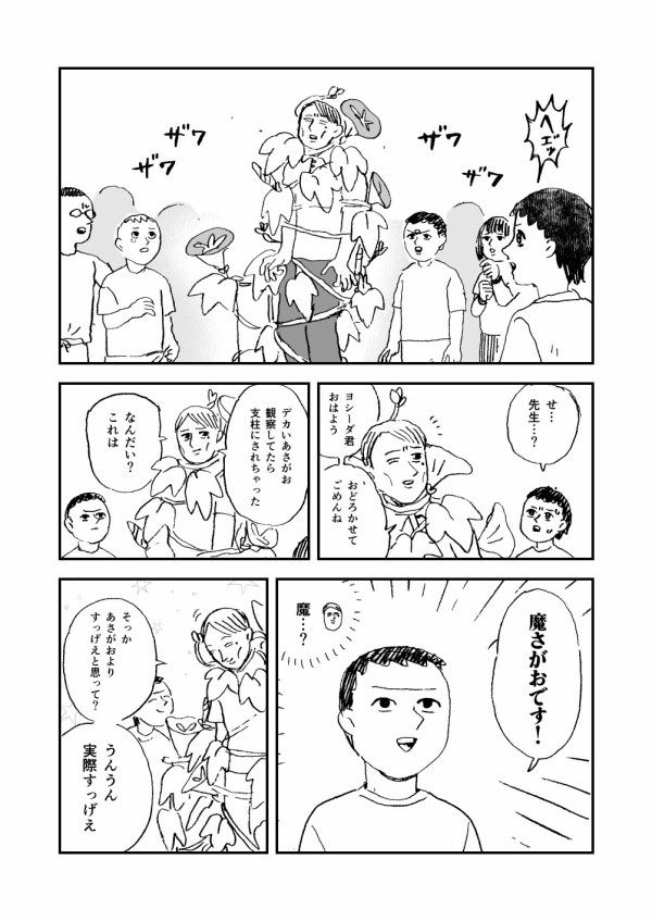 あさがおの観察