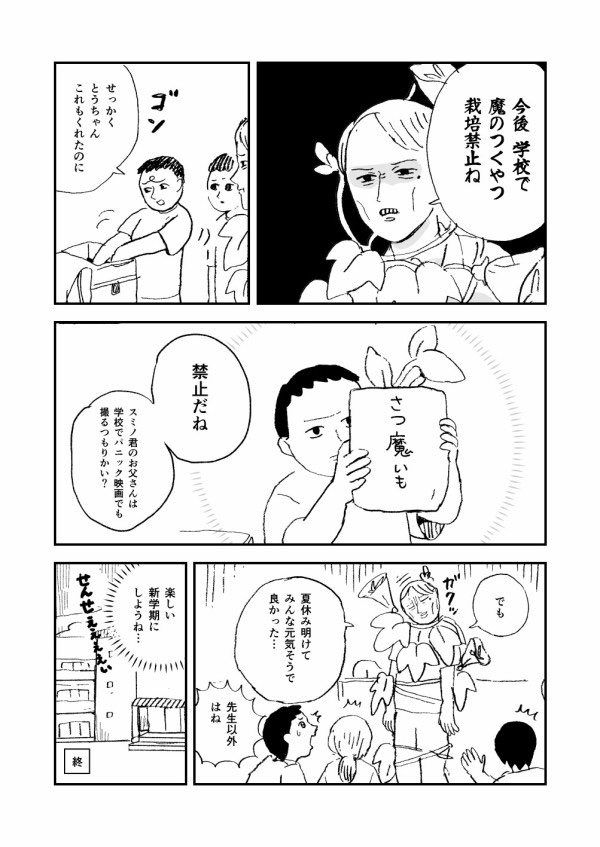 あさがおの観察