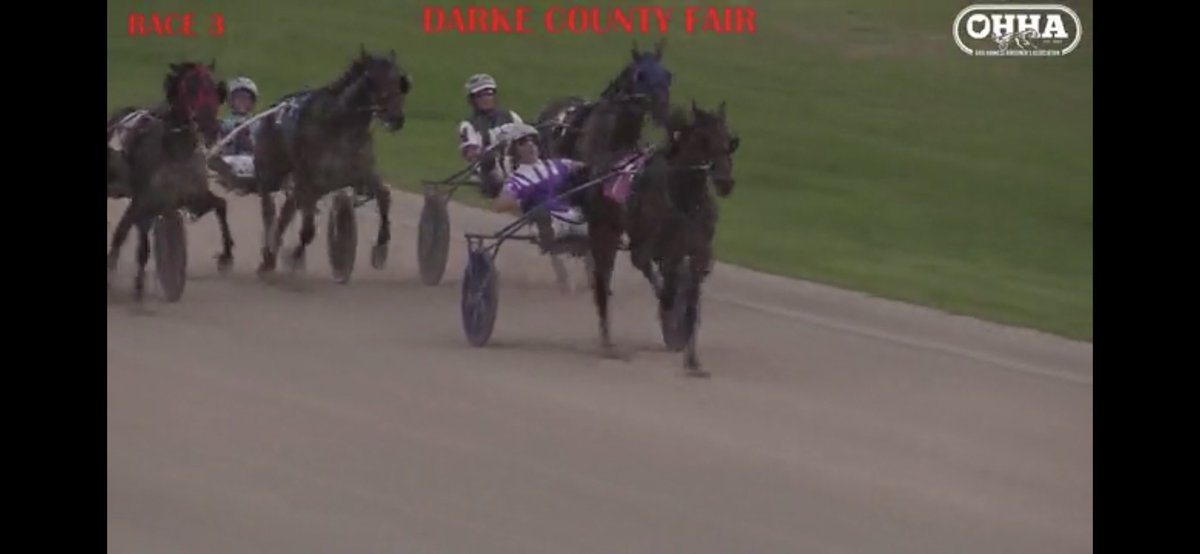 JoniSextonDLS's tweet photo. Our horse, All About Faith #5, raced and placed fourth tonight at the Darke County Fair! She set a new lifetime mark and had some stiff competition. I am so proud of her! 😁💜 #AllAboutFaith #OHHA https://t.co/9J3ub5oltL