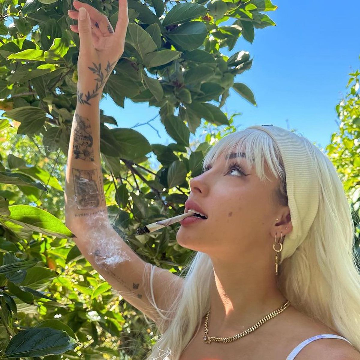 Mary Jane 🍃 <a href="/Charlyjordan/">Charly Jordan</a>