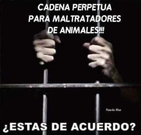 Yo estoy de acuerdo y tú?