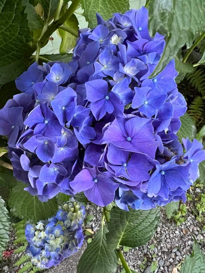 74ceff6b903445b's tweet photo. Hello dear friends 🙏😄
Have a beautiful Friday 🩵 https://t.co/xgdsxWEASW
